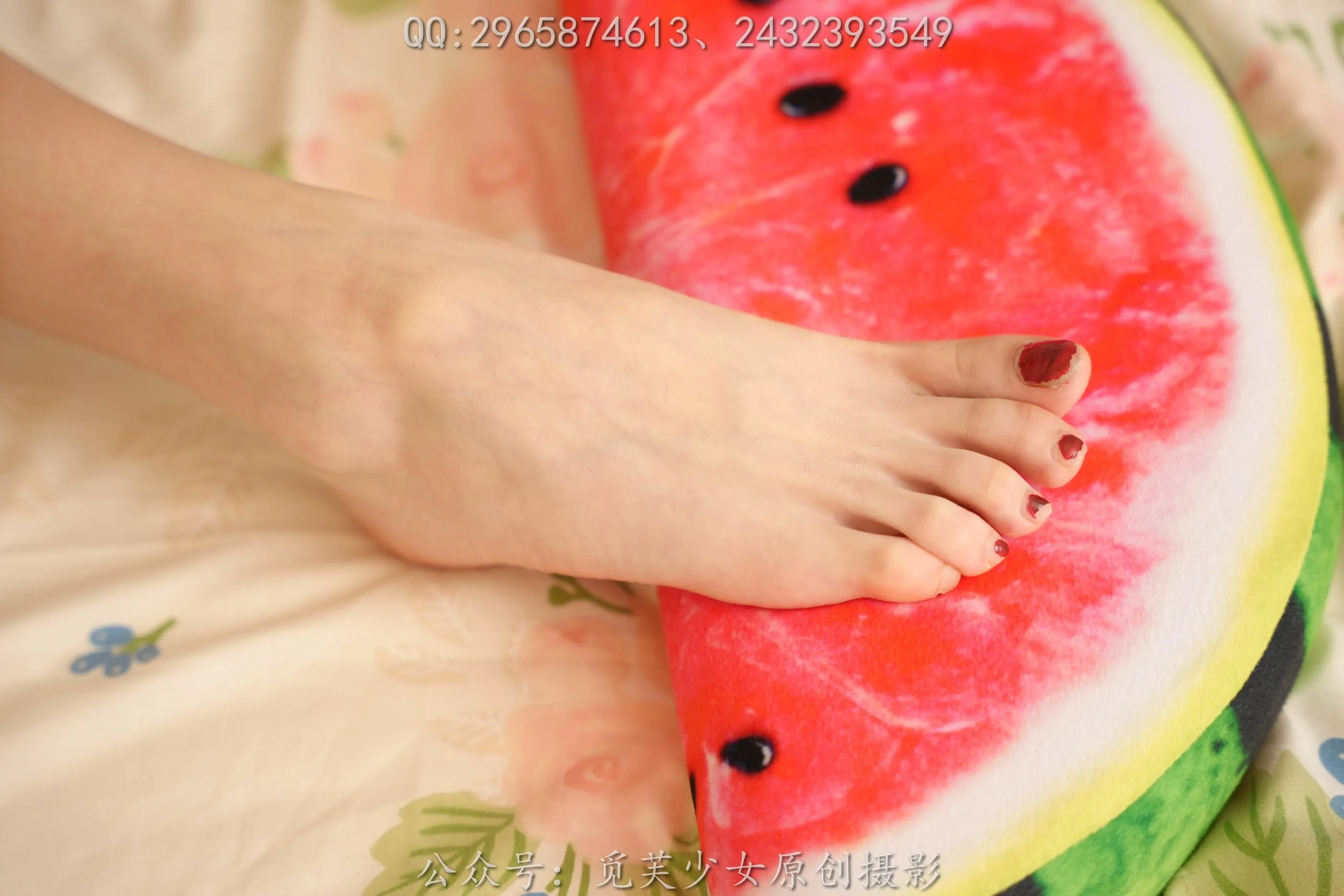 [觅芙少女]NO.049 灰灰 风月都好看，人间也浪漫 [142P]插图